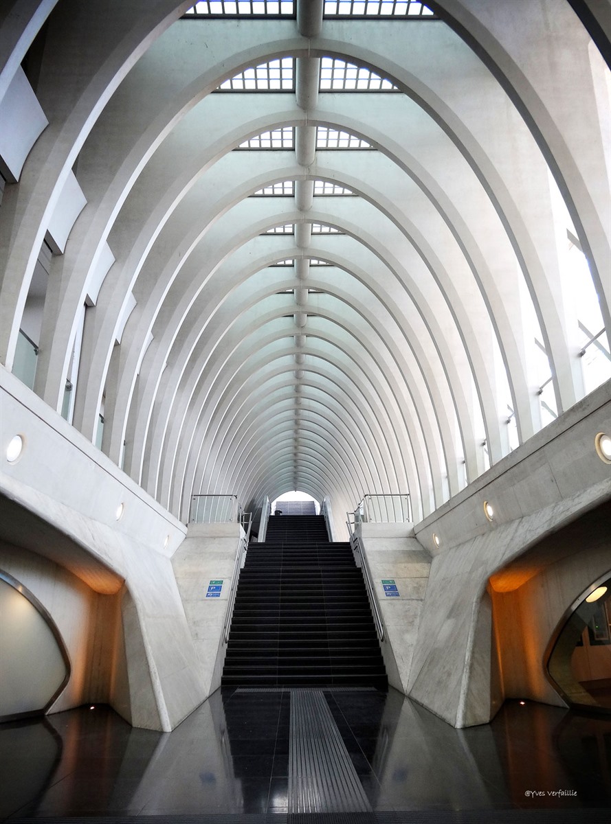 station-guillemins-luik-460_460_2_xl